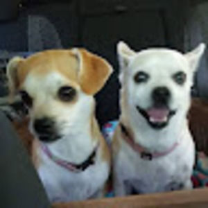 Meet your Posher, Judy